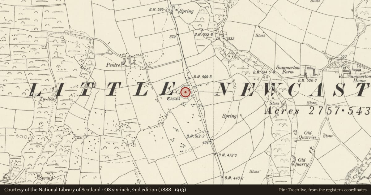 Ordnance Survey six-inch map, 2nd edition (1888–1913) covering the location of Defended Enclosure 300m SE of Pentre, Puncheston, Pembrokeshire, with a pin at the register's coordinates