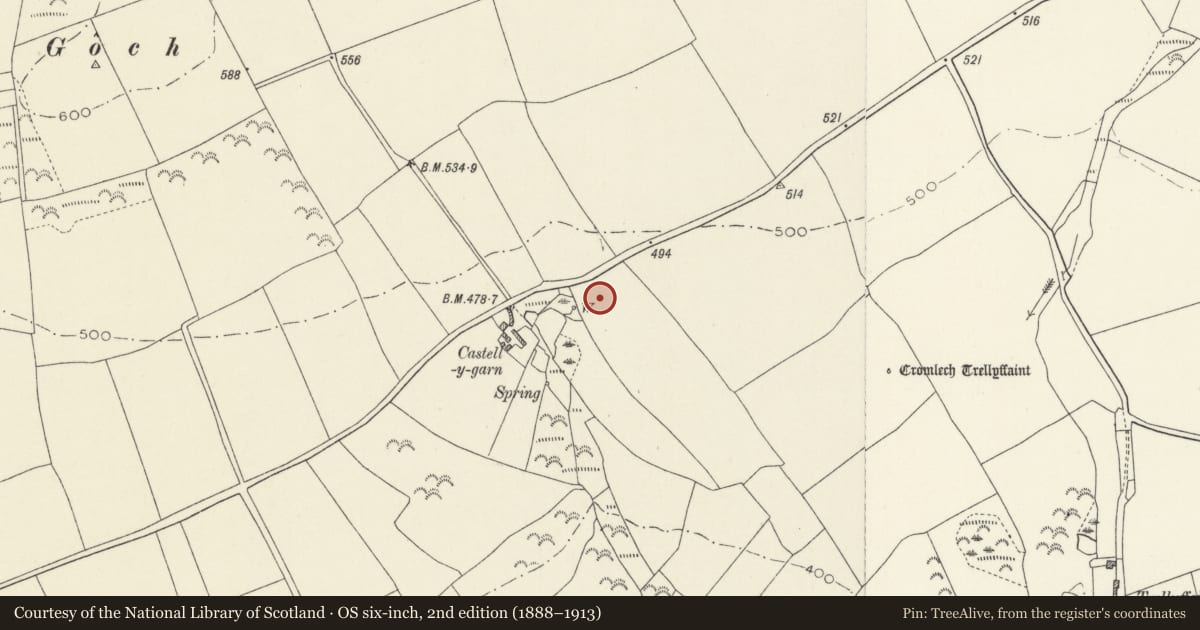Ordnance Survey six-inch map, 2nd edition (1888–1913) covering the location of Castell y Garn Defended Enclosure, Nevern, Pembrokeshire, with a pin at the register's coordinates