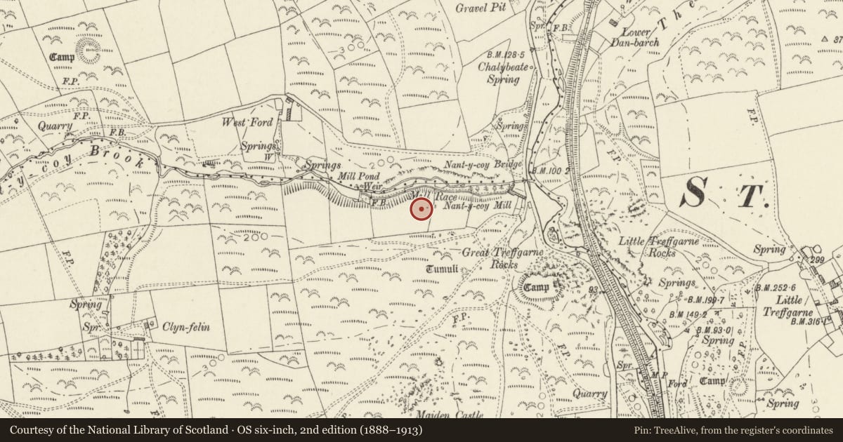 Ordnance Survey six-inch map, 2nd edition (1888–1913) covering the location of Nant y Coy Bridge Defended Enclosure, Wolfscastle, Pembrokeshire, with a pin at the register's coordinates
