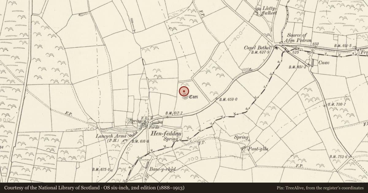 Ordnance Survey six-inch map, 2nd edition (1888–1913) covering the location of Henfeddau Fawr Defended Enclosure, Clydey, Pembrokeshire, with a pin at the register's coordinates