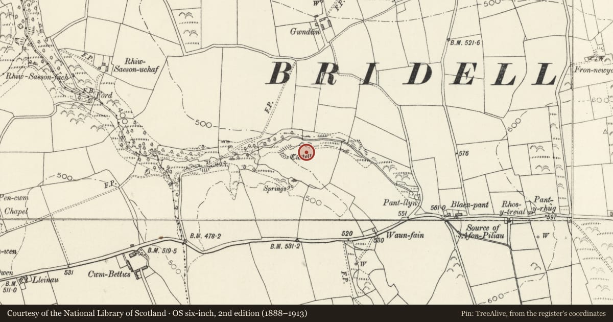 Ordnance Survey six-inch map, 2nd edition (1888–1913) covering the location of Cwmbettws Defended Enclosure, Cilgerran, Pembrokeshire, with a pin at the register's coordinates