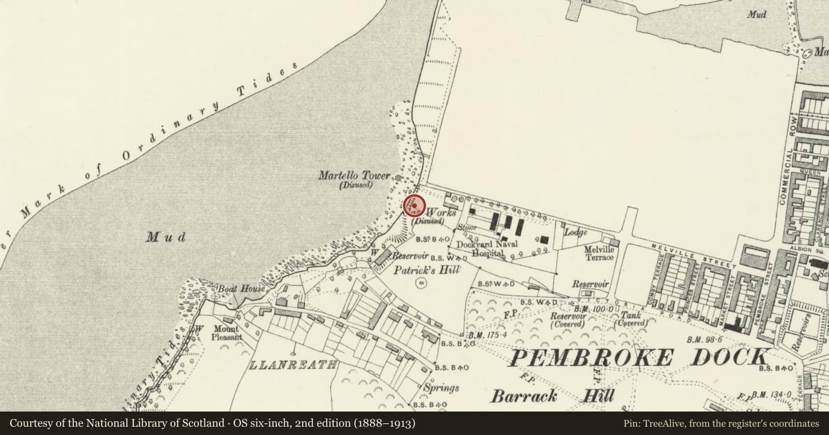 Ordnance Survey six-inch map, 2nd edition (1888–1913) covering the location of Bomb stores at West end of Fort Road, Pembroke Dock, Pembrokeshire, with a pin at the register's coordinates