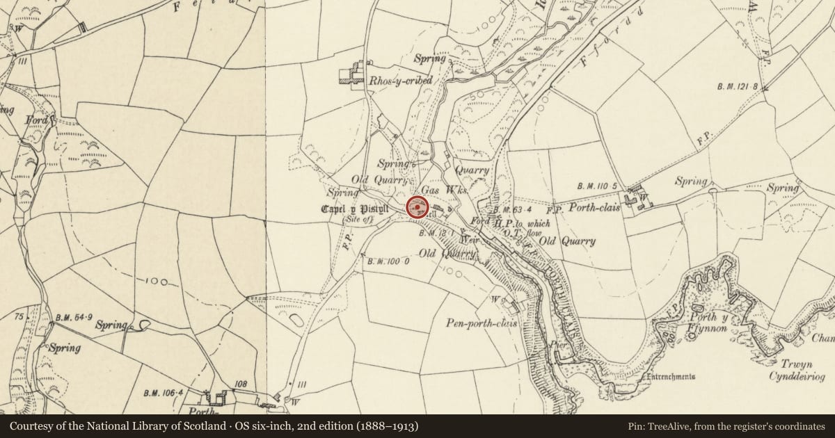 Ordnance Survey six-inch map, 2nd edition (1888–1913) covering the location of Well, south of Rhos-y-Cribed, St. David's and the Cathedral Close, Pembrokeshire, with a pin at the register's coordinates
