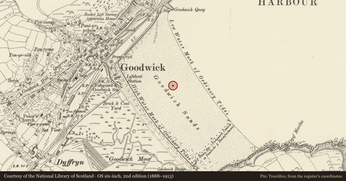 Ordnance Survey six-inch map, 2nd edition (1888–1913) covering the location of Wreck on Goodwick Beach 200m NE of Ocean Lab Building, Fishguard and Goodwick, Pembrokeshire, with a pin at the register's coordinates