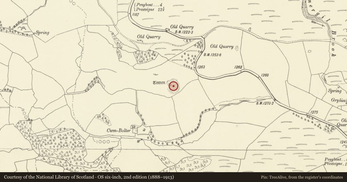 Ordnance Survey six-inch map, 2nd edition (1888–1913) covering the location of Crug Eryr Mound and Bailey Castle, New Radnor, Powys, with a pin at the register's coordinates