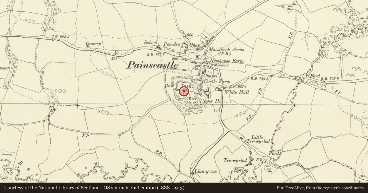 Ordnance Survey six-inch map, 2nd edition (1888–1913) covering the location of Pain's Castle, Painscastle, Powys, with a pin at the register's coordinates