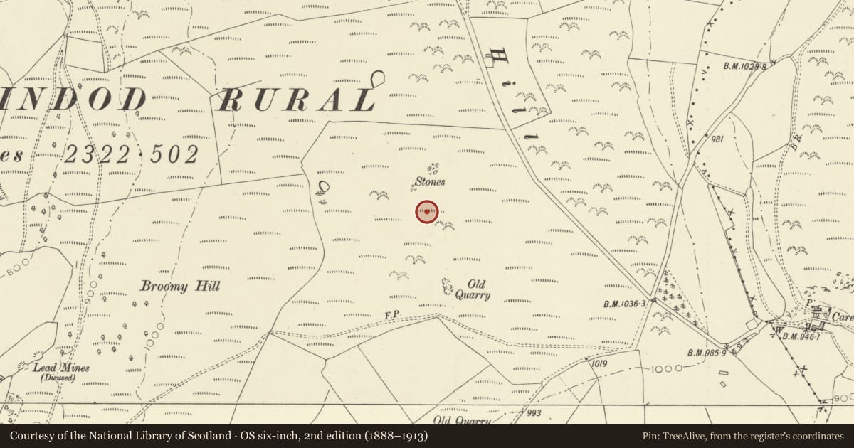 Ordnance Survey six-inch map, 2nd edition (1888–1913) covering the location of Little Hill Round Barrows, Llandrindod Wells, Powys, with a pin at the register's coordinates