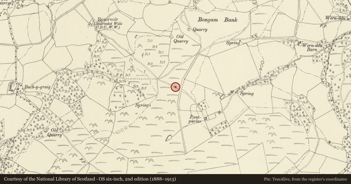 Ordnance Survey six-inch map, 2nd edition (1888–1913) covering the location of Pant Purlas Round Barrow, Llandrindod Wells, Powys, with a pin at the register's coordinates