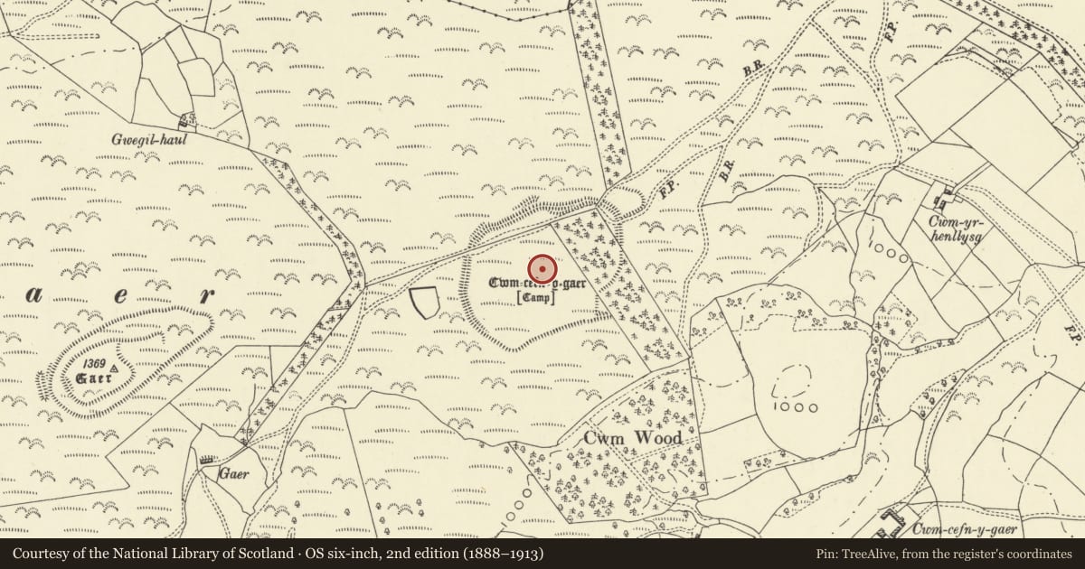 Ordnance Survey six-inch map, 2nd edition (1888–1913) covering the location of Cwm Cefn y Gaer, Llanddewi Ystradenny, Powys, with a pin at the register's coordinates