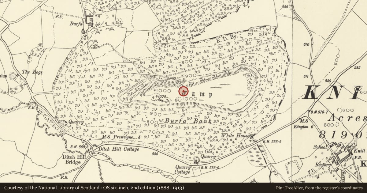 Ordnance Survey six-inch map, 2nd edition (1888–1913) covering the location of Burfa Camp, Old Radnor, Powys, with a pin at the register's coordinates