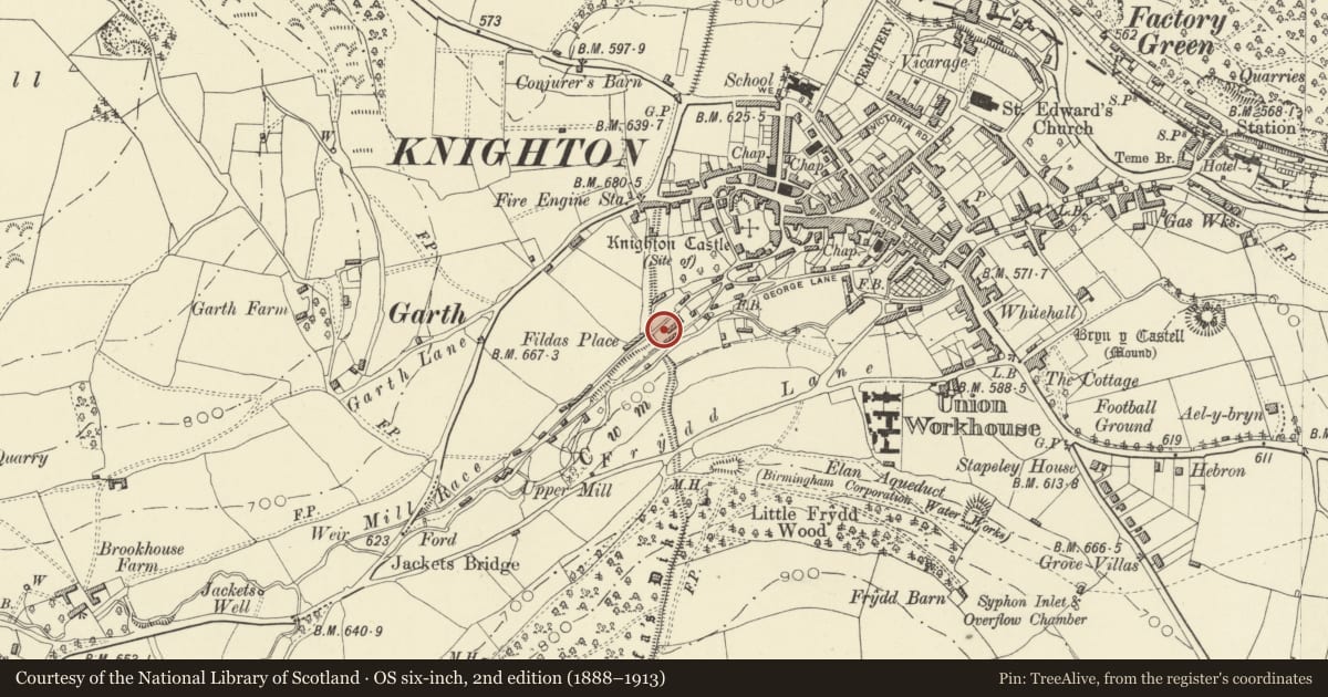 Ordnance Survey six-inch map, 2nd edition (1888–1913) covering the location of Offa's Dyke: Section extending 165m S to Fildas Place and thence from Mill stream to Frydd Wood, Knighton, Powys, with a pin at the register's coordinates