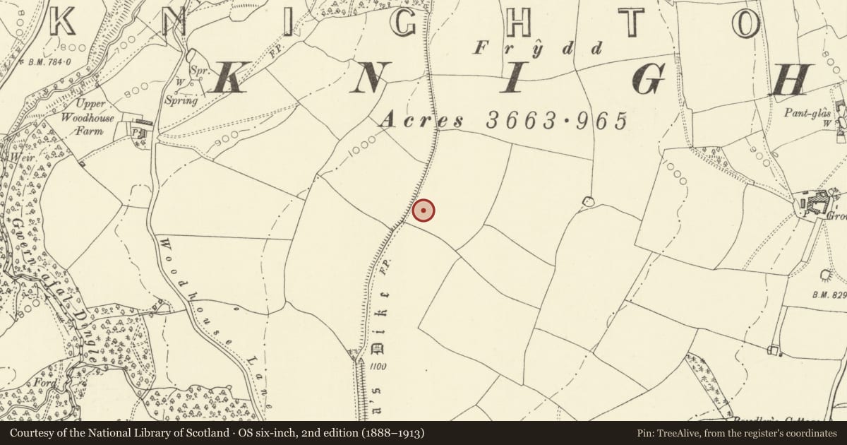Ordnance Survey six-inch map, 2nd edition (1888–1913) covering the location of Offa's Dyke: Section extending through Great Ffrydd Wood 1693m S to footpath leading to Woodhouse Lane, Knighton, Powys, with a pin at the register's coordinates
