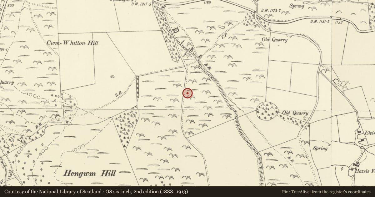 Ordnance Survey six-inch map, 2nd edition (1888–1913) covering the location of Offa's Dyke: Section extending 2143m S from The Firs, Rhos-y-Meirch, Whitton, Powys, with a pin at the register's coordinates