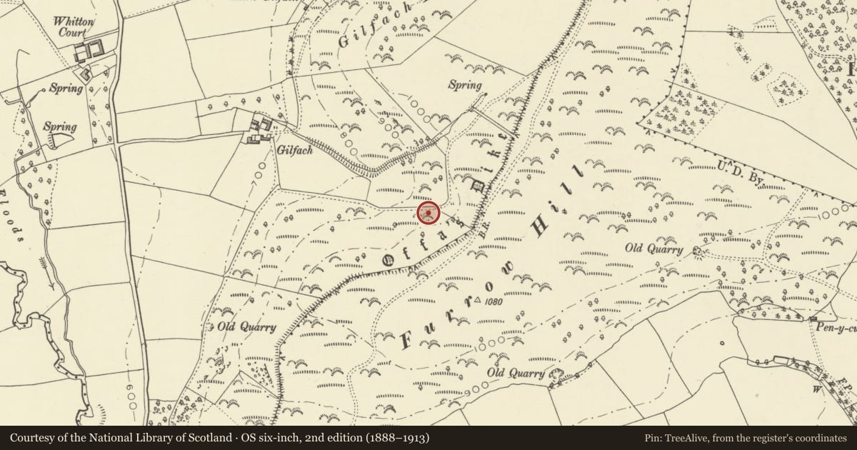 Ordnance Survey six-inch map, 2nd edition (1888–1913) covering the location of Offa's Dyke: Section extending 1125m SW to Gilfach Wood, Whitton, Powys, with a pin at the register's coordinates