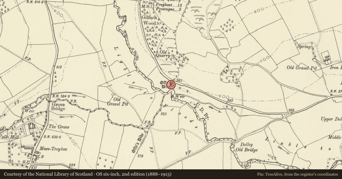 Ordnance Survey six-inch map, 2nd edition (1888–1913) covering the location of Offa's Dyke: Section from Whitton-Presteigne Road to River Lugg, Powys, with a pin at the register's coordinates