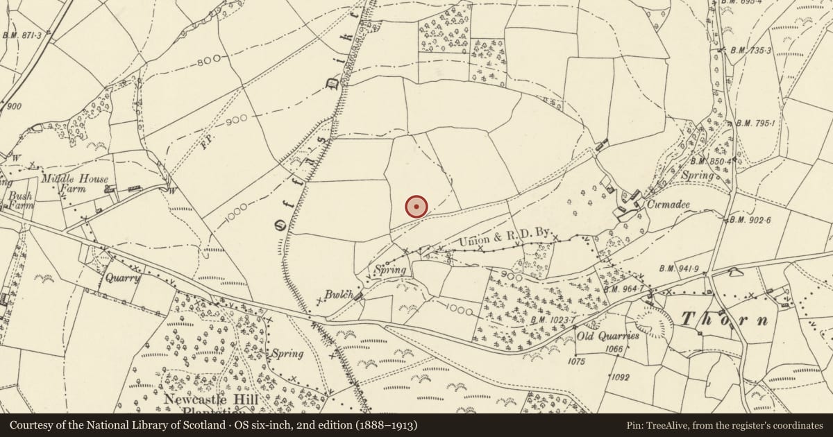 Ordnance Survey six-inch map, 2nd edition (1888–1913) covering the location of Offa's Dyke: Section extending 1960m from Yew Tree Farm to Quarries NE of Granner Wood, Whitton, Powys, with a pin at the register's coordinates