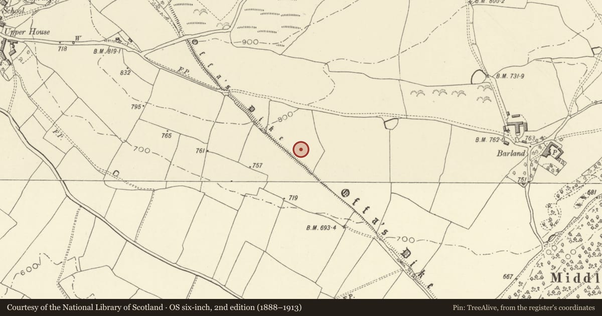 Ordnance Survey six-inch map, 2nd edition (1888–1913) covering the location of Offa's Dyke: Section from Granner Wood to Burfa, Old Radnor, Powys, with a pin at the register's coordinates