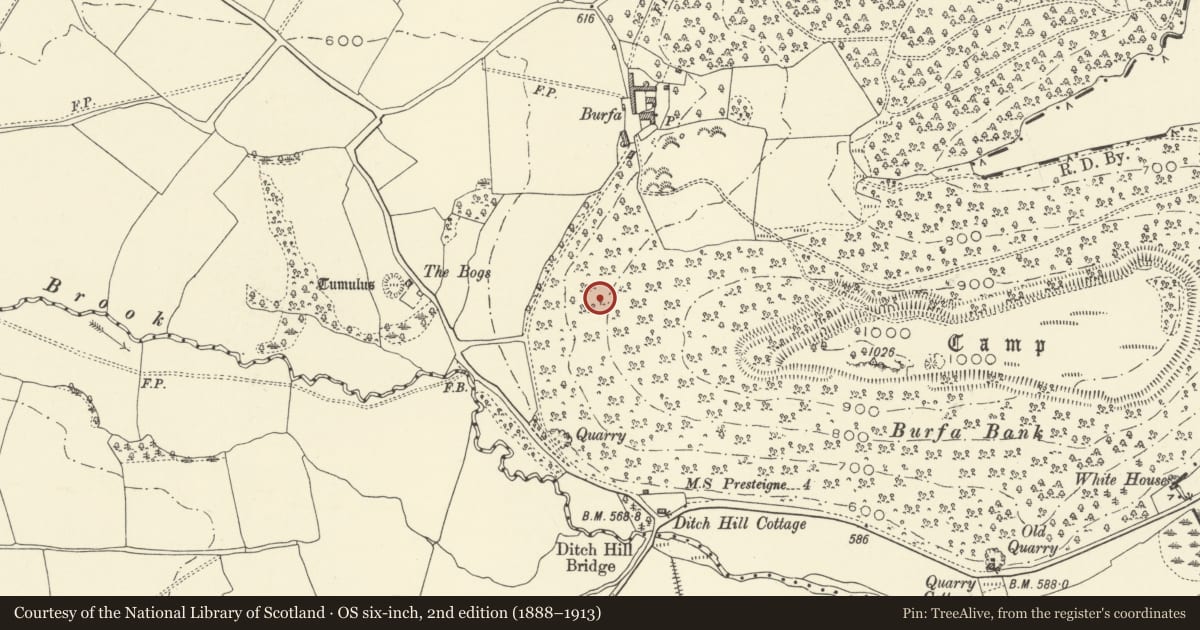 Ordnance Survey six-inch map, 2nd edition (1888–1913) covering the location of Offa's Dyke: Section extending 380m from Burfa, Old Radnor, Powys, with a pin at the register's coordinates