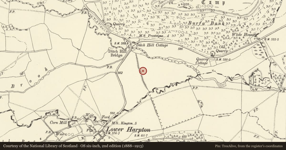 Ordnance Survey six-inch map, 2nd edition (1888–1913) covering the location of Offa's Dyke: Section from Ditchyeld Bridge to County Boundary, Old Radnor, Powys, with a pin at the register's coordinates