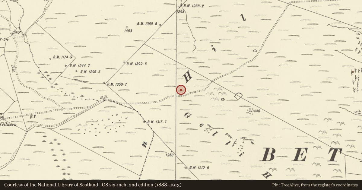 Ordnance Survey six-inch map, 2nd edition (1888–1913) covering the location of Gelli Hill Stone Circle, Glascwm, Powys, with a pin at the register's coordinates