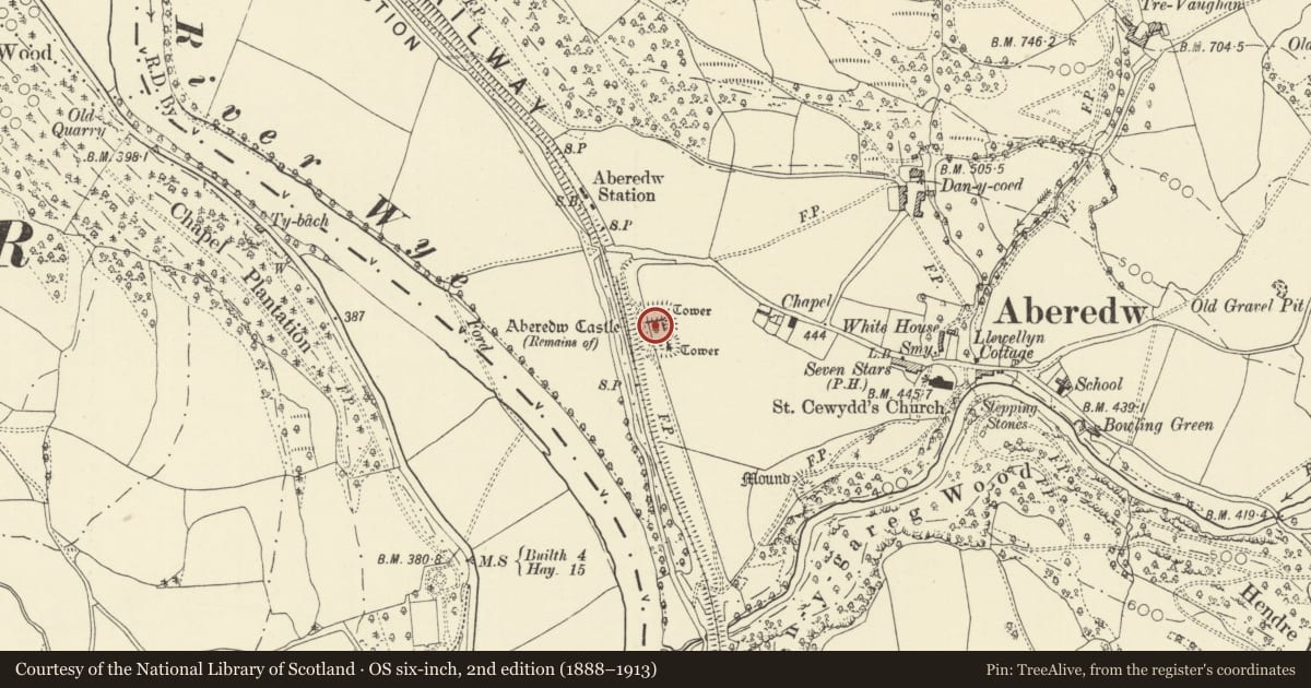 Ordnance Survey six-inch map, 2nd edition (1888–1913) covering the location of Aberedw Castle, Powys, with a pin at the register's coordinates
