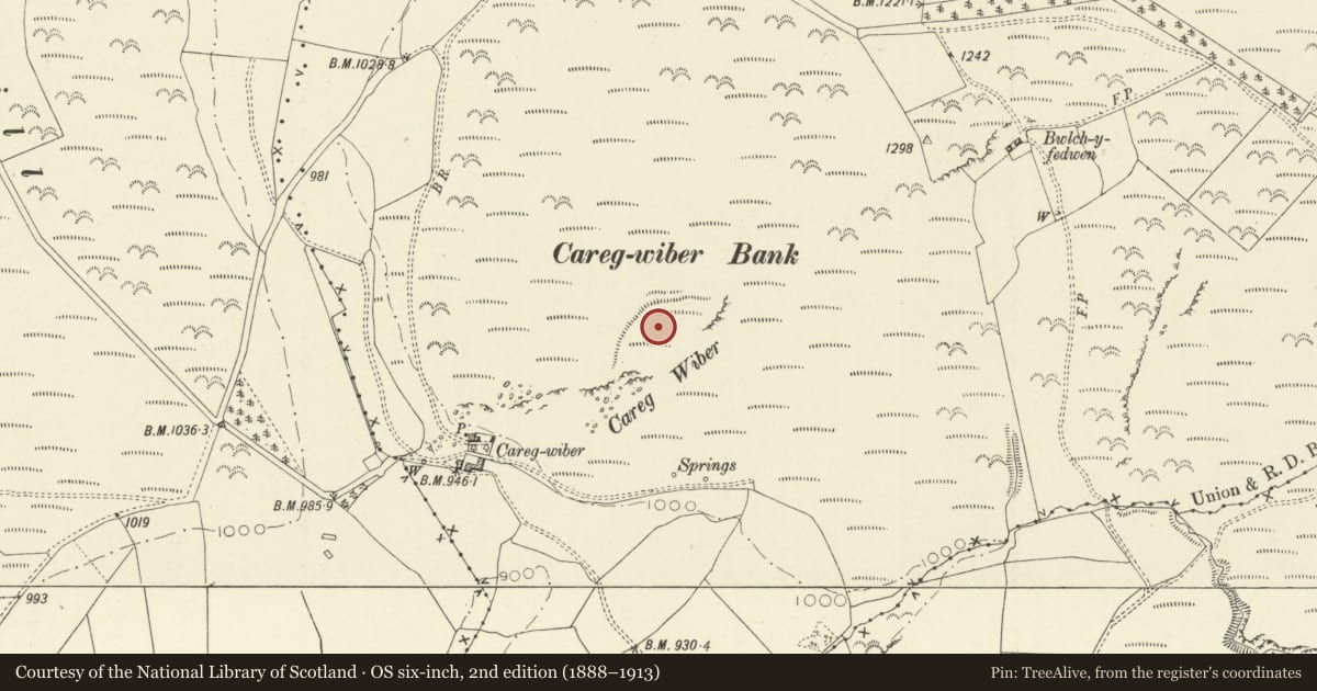 Ordnance Survey six-inch map, 2nd edition (1888–1913) covering the location of Carreg-Wiber Bank Earthwork, Llandrindod Wells, Powys, with a pin at the register's coordinates