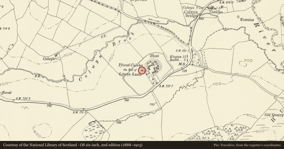 Ordnance Survey six-inch map, 2nd edition (1888–1913) covering the location of Colwyn Castle, Glascwm, Powys, with a pin at the register's coordinates