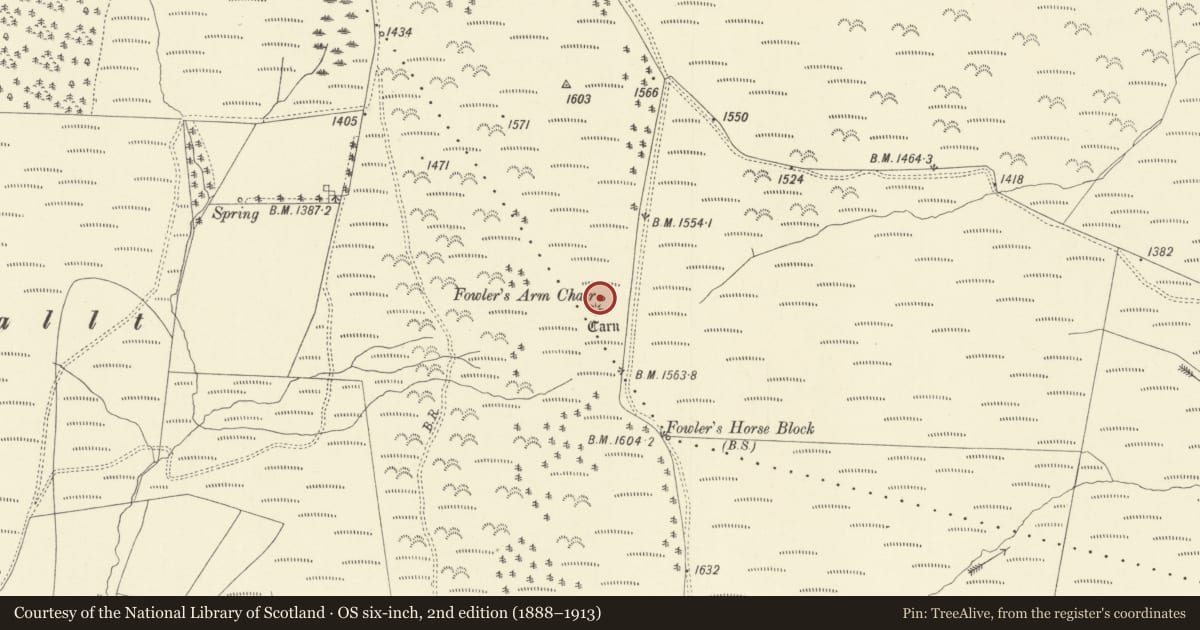 Ordnance Survey six-inch map, 2nd edition (1888–1913) covering the location of Fowler's Arm Chair Stone Circle & Round Cairns, Banc Du, Abbey Cwmhir, Powys, with a pin at the register's coordinates
