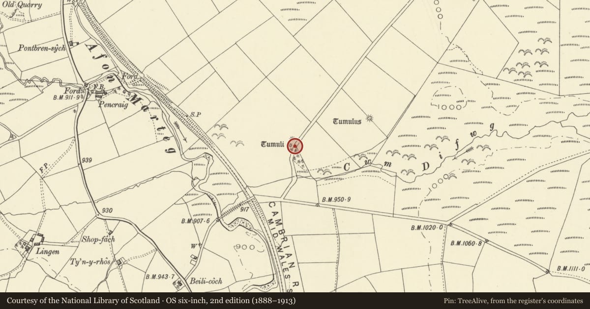 Ordnance Survey six-inch map, 2nd edition (1888–1913) covering the location of Round Barrows 400m NNW of Beili Hwlyn, St. Harmon, Powys, with a pin at the register's coordinates