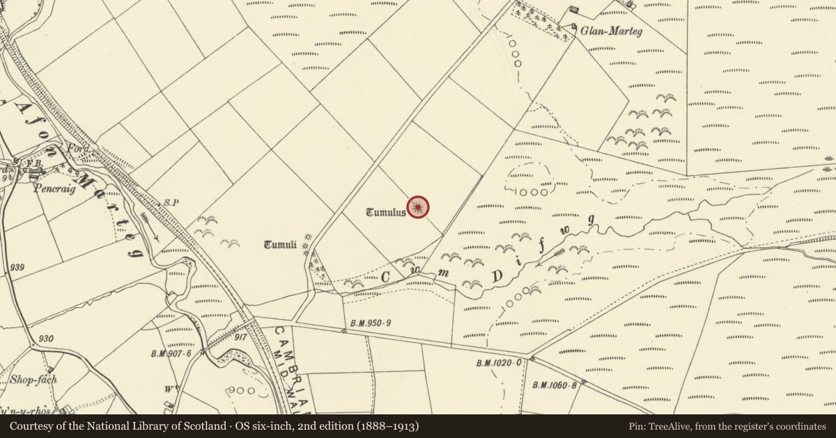 Ordnance Survey six-inch map, 2nd edition (1888–1913) covering the location of Bronze Age round barrow NW of Glan-marteg, St. Harmon, Powys, with a pin at the register's coordinates