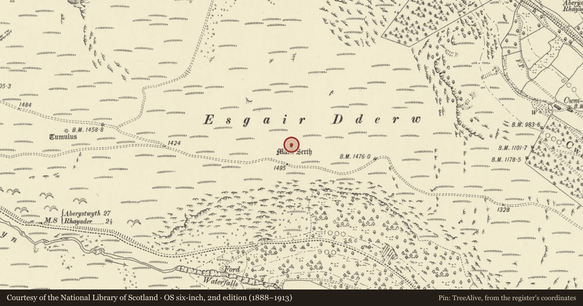 Ordnance Survey six-inch map, 2nd edition (1888–1913) covering the location of Maen Serth, Esgair Dderw, Rhayader, Powys, with a pin at the register's coordinates