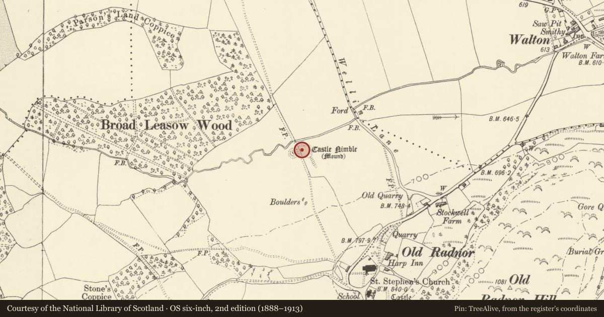 Ordnance Survey six-inch map, 2nd edition (1888–1913) covering the location of Castle Nimble, Old Radnor, Powys, with a pin at the register's coordinates