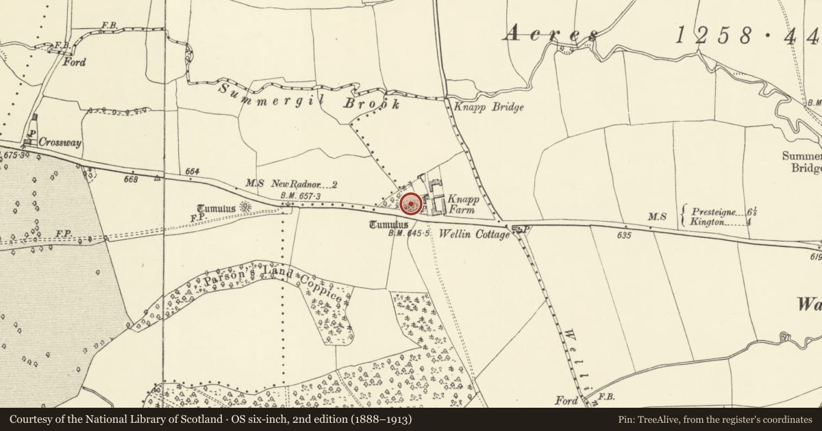 Ordnance Survey six-inch map, 2nd edition (1888–1913) covering the location of Knapp Farm Mound, Old Radnor, Powys, with a pin at the register's coordinates