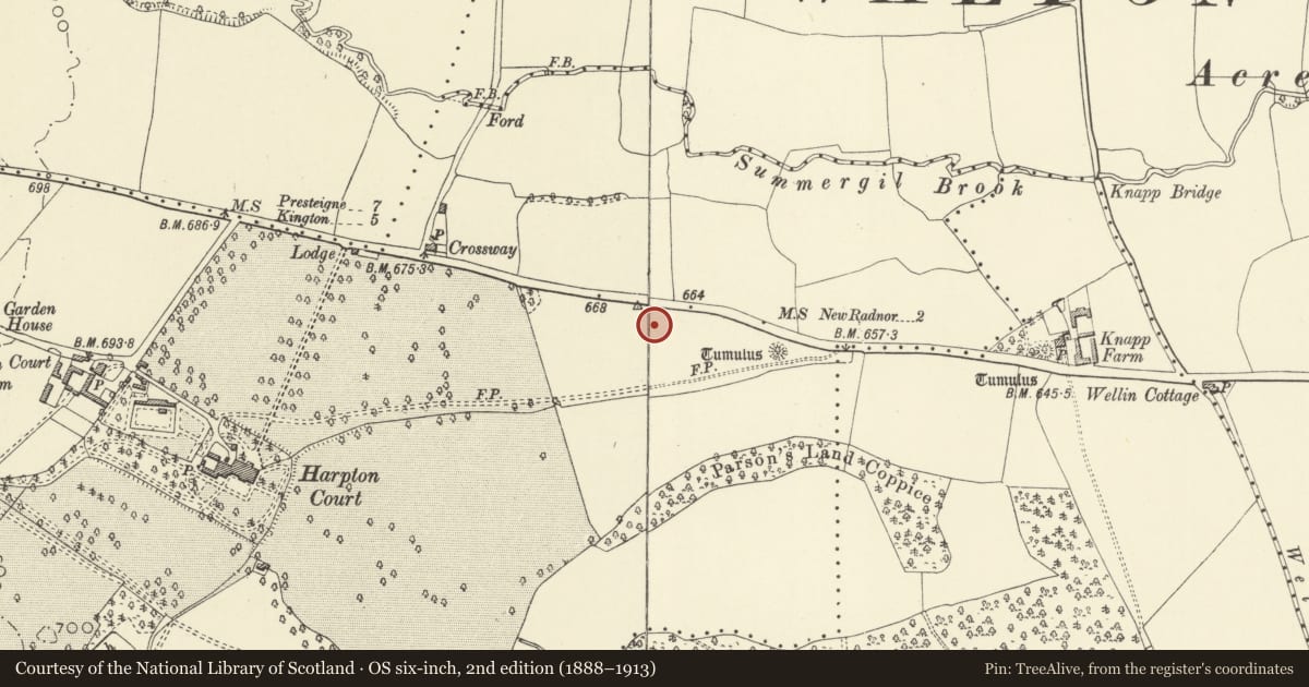 Ordnance Survey six-inch map, 2nd edition (1888–1913) covering the location of Two Round Barrows NE of Harpton Court, Old Radnor, Powys, with a pin at the register's coordinates