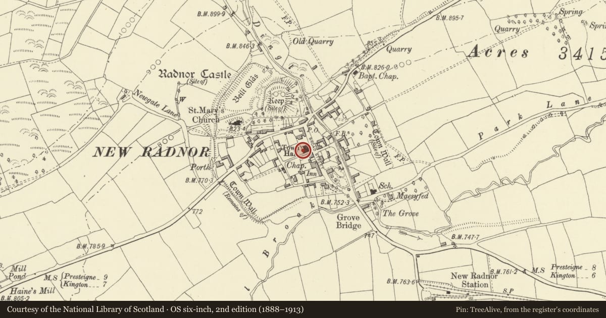 Ordnance Survey six-inch map, 2nd edition (1888–1913) covering the location of Town Bank and Ditch, New Radnor, Powys, with a pin at the register's coordinates