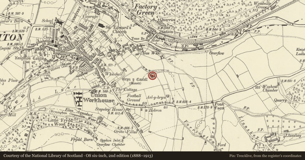 Ordnance Survey six-inch map, 2nd edition (1888–1913) covering the location of Bryn y Castell, Knighton, Powys, with a pin at the register's coordinates