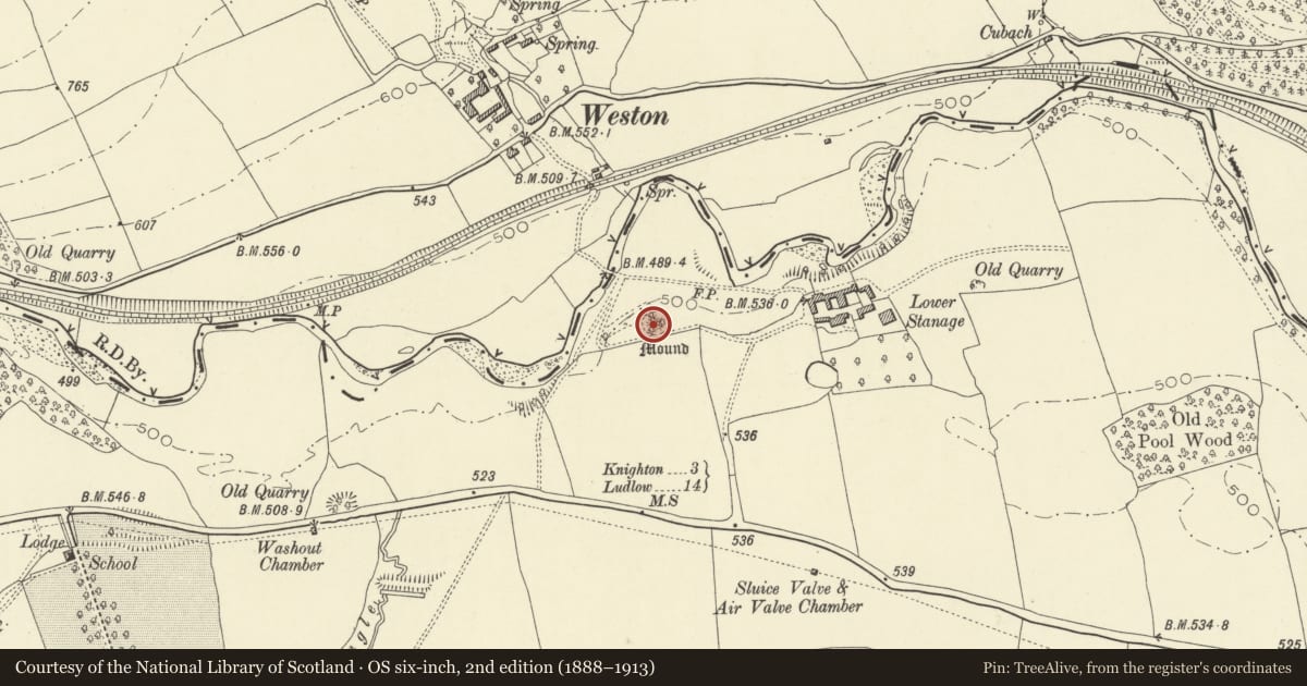 Ordnance Survey six-inch map, 2nd edition (1888–1913) covering the location of Stanage Mound & Bailey Castle, Knighton, Powys, with a pin at the register's coordinates
