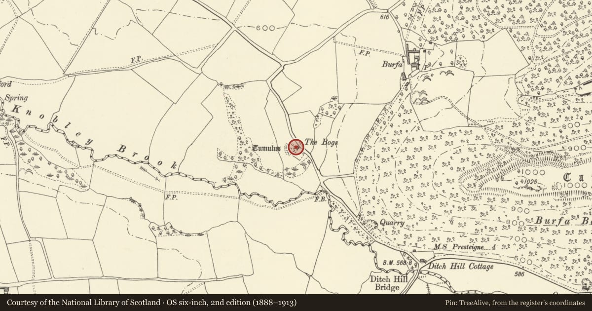Ordnance Survey six-inch map, 2nd edition (1888–1913) covering the location of Mound and Bailey Castle 495m NW of Ditch Hill Bridge, Old Radnor, Powys, with a pin at the register's coordinates