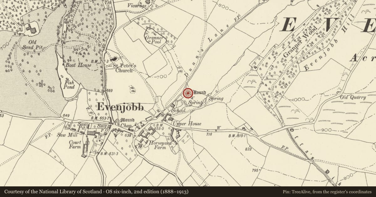 Ordnance Survey six-inch map, 2nd edition (1888–1913) covering the location of Mound & Bailey Castle 360m ESE of St Peter's Church, Old Radnor, Powys, with a pin at the register's coordinates