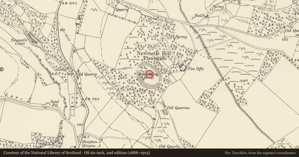 Ordnance Survey six-inch map, 2nd edition (1888–1913) covering the location of Castle Ring, Old Radnor, Powys, with a pin at the register's coordinates