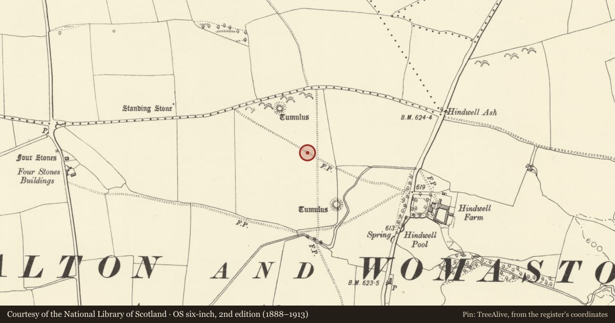 Ordnance Survey six-inch map, 2nd edition (1888–1913) covering the location of Hindwell Farm Round Barrows, Old Radnor, Powys, with a pin at the register's coordinates
