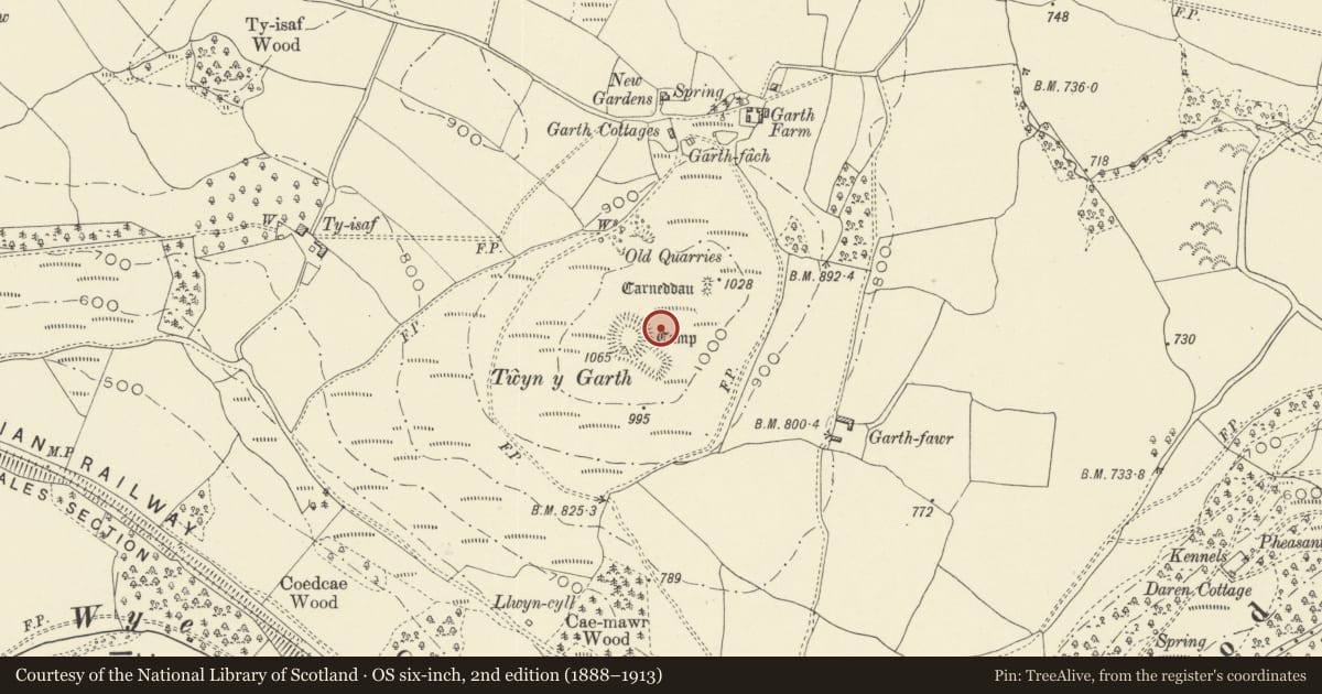 Ordnance Survey six-inch map, 2nd edition (1888–1913) covering the location of Twyn y Garth Round Barrows, Painscastle, Powys, with a pin at the register's coordinates