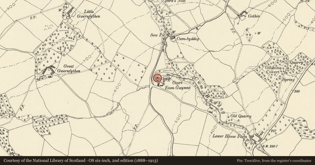 Ordnance Survey six-inch map, 2nd edition (1888–1913) covering the location of Castle Kinsey, Clyro, Powys, with a pin at the register's coordinates