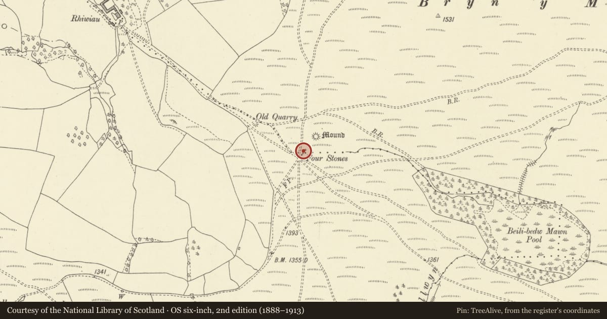 Ordnance Survey six-inch map, 2nd edition (1888–1913) covering the location of Bryn y Maen Alignment (Four Stones), New Radnor, Powys, with a pin at the register's coordinates