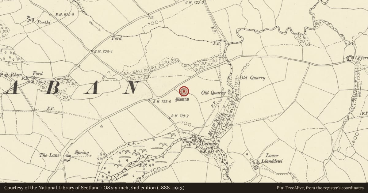 Ordnance Survey six-inch map, 2nd edition (1888–1913) covering the location of Castle Mound 400m N of Cefnige, Painscastle, Powys, with a pin at the register's coordinates
