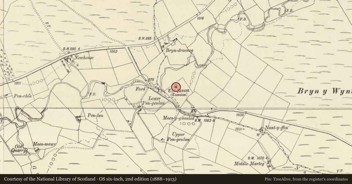 Ordnance Survey six-inch map, 2nd edition (1888–1913) covering the location of The Mount Round Barrow near Maes-y-Gwaelod, Abbey Cwmhir, Powys, with a pin at the register's coordinates
