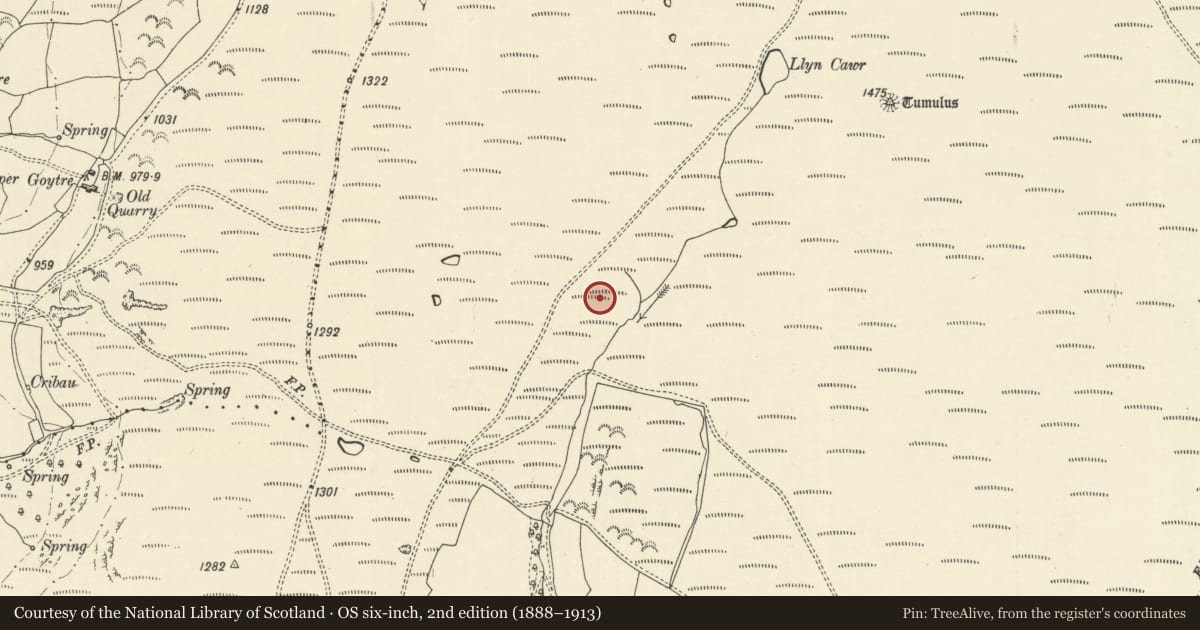 Ordnance Survey six-inch map, 2nd edition (1888–1913) covering the location of Aberedw Hill Round Barrows, Powys, with a pin at the register's coordinates
