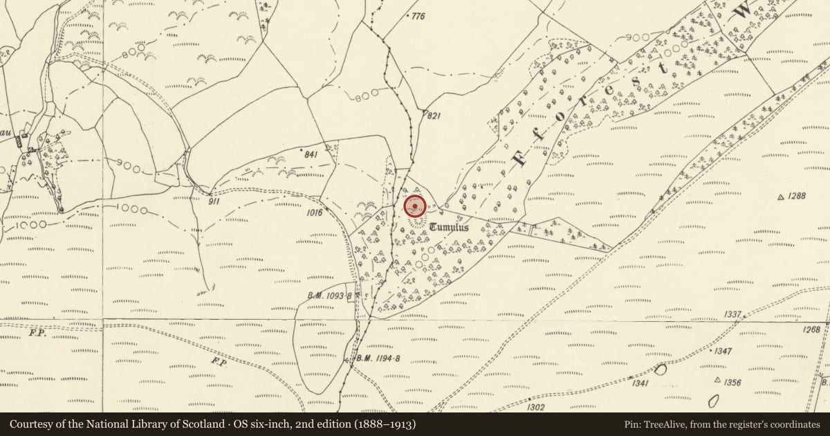Ordnance Survey six-inch map, 2nd edition (1888–1913) covering the location of Fforest Wood Mound & Bailey Castle, Glascwm, Powys, with a pin at the register's coordinates