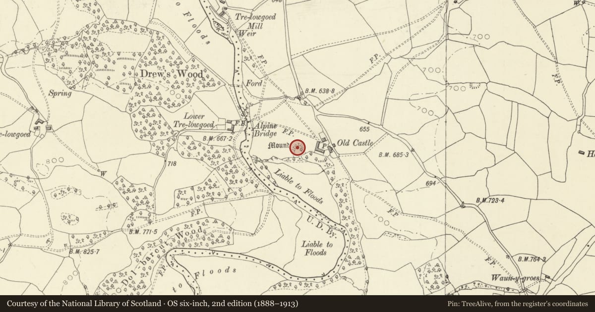 Ordnance Survey six-inch map, 2nd edition (1888–1913) covering the location of Old Castle Mound, Penybont, Powys, with a pin at the register's coordinates