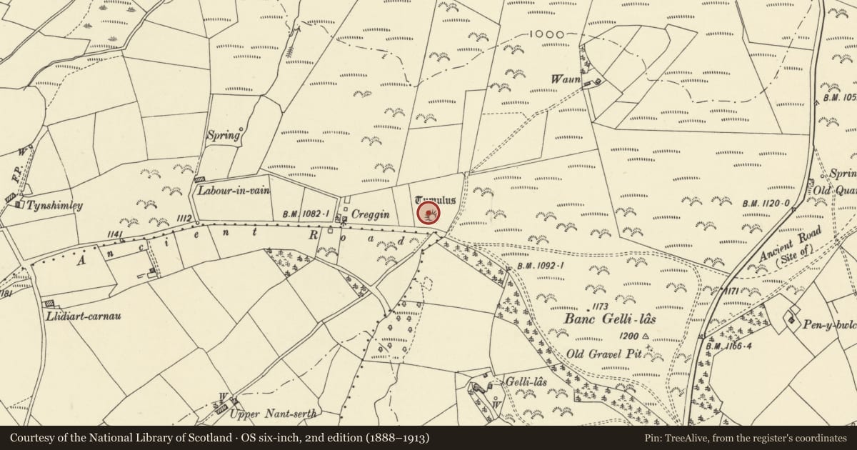 Ordnance Survey six-inch map, 2nd edition (1888–1913) covering the location of Creggin Round Barrow, St. Harmon, Powys, with a pin at the register's coordinates